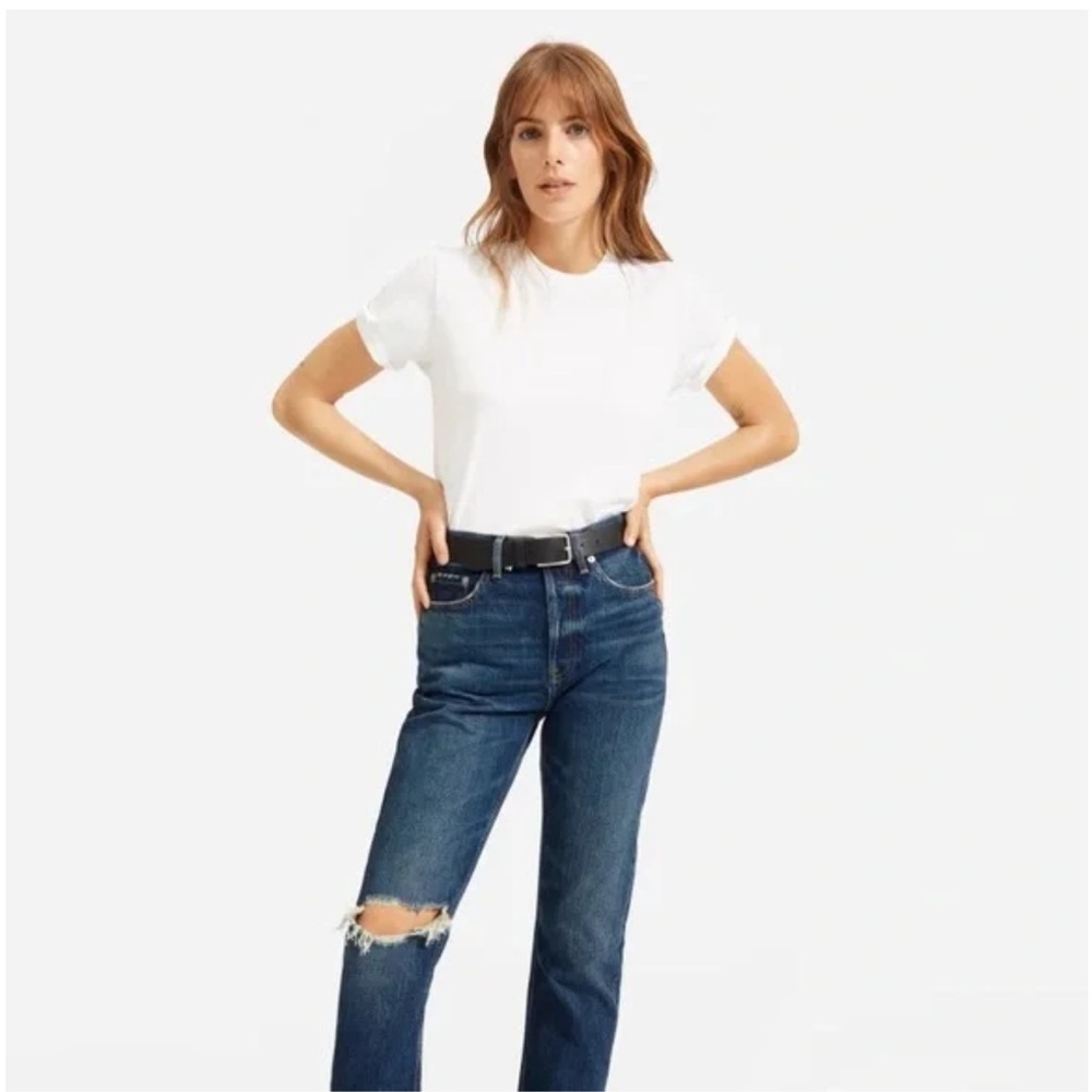 Everlane The 90s Cheeky Straight Jean | sz 30 | Vintage Dark Wash